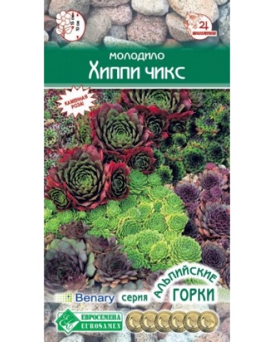 МОЛОДИЛО (ЕВ) ХИППИ ЧИКС 5шт/10