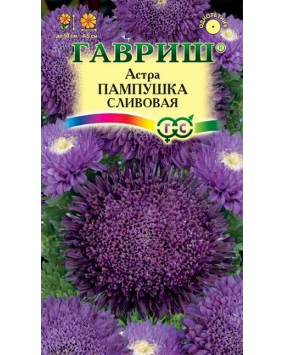 АСТРА ПАМПУШКА (сливовая) 0,3г/20 (14)