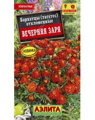 БАРХАТЦЫ (А) ВЕЧЕРНЯЯ ЗАРЯ (отклоненные) 0,3г/10
