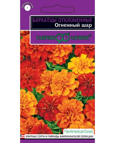 БАРХАТЦЫ ОГНЕННЫЙ ШАР (хамелеон) (отклоненные) 5шт/20