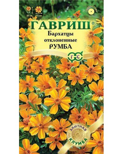 БАРХАТЦЫ РУМБА (отклоненные) 10шт/20