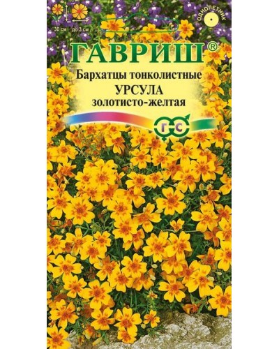 БАРХАТЦЫ УРСУЛА (тонколистные) 0,1г/20