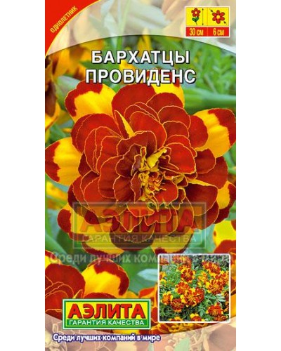 БАРХАТЦЫ (А) ПРОВИДЕНС (отклоненные) 10шт/10