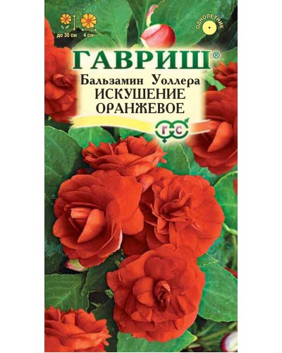 БАЛЬЗАМИН ИСКУШЕНИЕ ОРАНЖЕВОЕ (Уоллера) 4шт/20