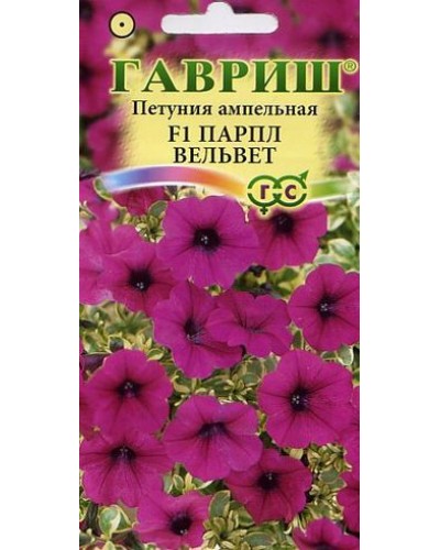 ПЕТУНИЯ ПАРПЛ ВЕЛЬВЕТ F1 (сурфиния) 5шт/20