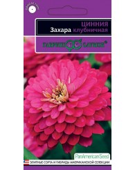 ЦИННИЯ ЗАХАРА КЛУБНИЧНАЯ 6шт/20