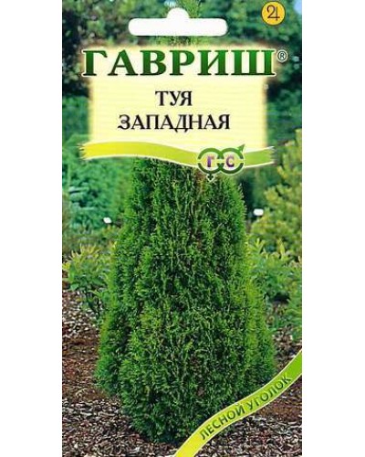 ТУЯ ЗАПАДНАЯ КАНДИ СТРАЙП 0,05г/20