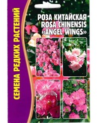РОЗА (РС) ANGEL WINGS (китайская) 10шт/10