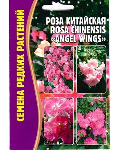 РОЗА (РС) ANGEL WINGS (китайская) 10шт/10