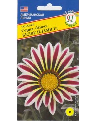 ГАЦАНИЯ (П) КИСС БЕЛОЕ ПЛАМЯ 5шт/10