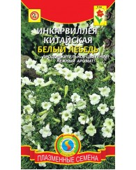 ИНКАРВИЛЛЕЯ (ПС) БЕЛЫЙ ЛЕБЕДЬ 8шт/10