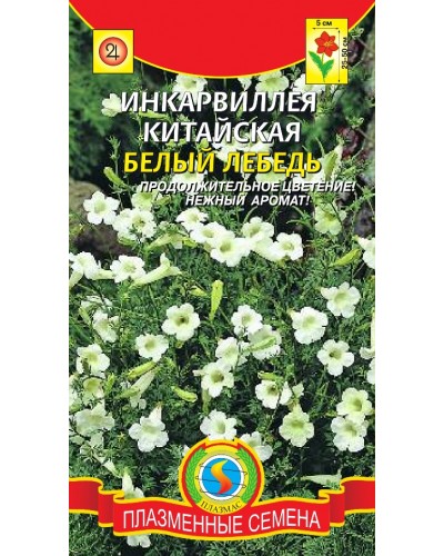 ИНКАРВИЛЛЕЯ (ПС) БЕЛЫЙ ЛЕБЕДЬ 8шт/10
