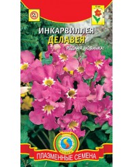 ИНКАРВИЛЛЕЯ (ПС) ДЕЛАВЕЯ 0,2г/10
