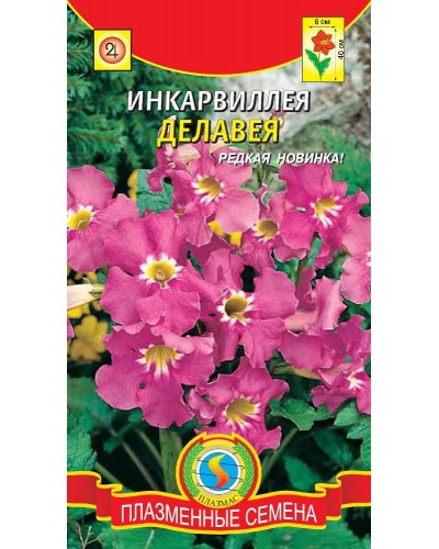 ИНКАРВИЛЛЕЯ (ПС) ДЕЛАВЕЯ 0,2г/10