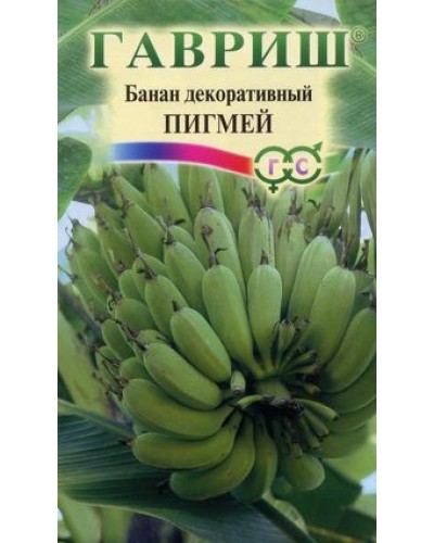 БАНАН ДЕКОРАТИВНЫЙ ПИГМЕЙ 3шт/20