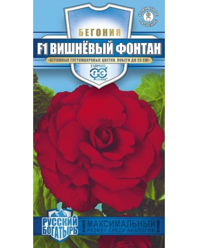 БЕГОНИЯ ФОНТАН ВИШНЕВЫЙ 4шт/20 БЕГОНИЯ ФОНТАН ВИШНЕВЫЙ 4шт/20