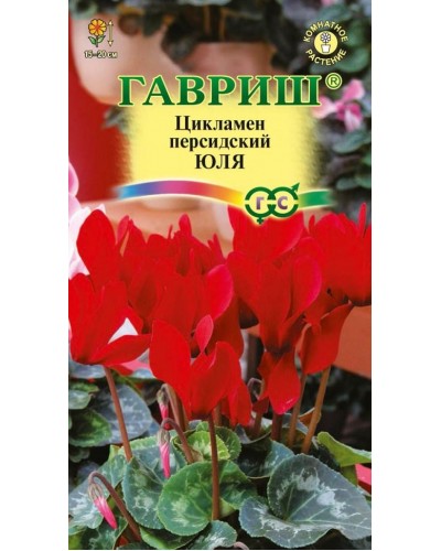 ЦИКЛАМЕН ЮЛЯ (персидский) 3шт/10