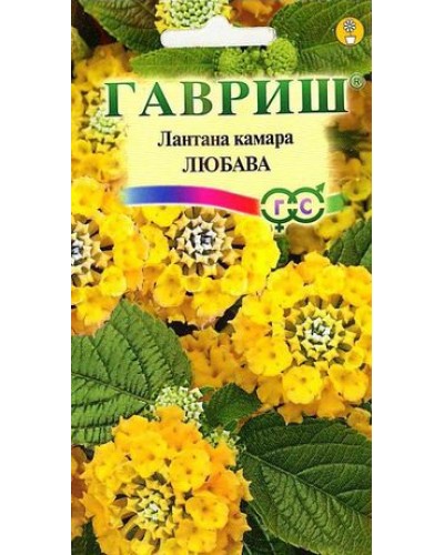 ЛАНТАНА ЛЮБАВА (сводчатая) 0,1г/20