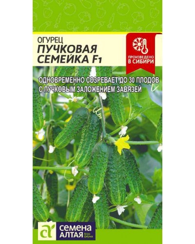 ОГУРЕЦ (СА) ПУЧКОВАЯ СЕМЕЙКА 6шт/10