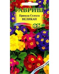 ПРИМУЛА ВЕЛИКАН (селекта) 10шт/20