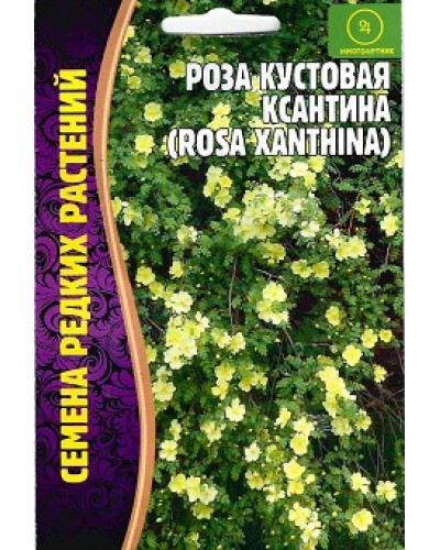 РОЗА (РС) КСАНТИНА (кустовая) 10шт/10