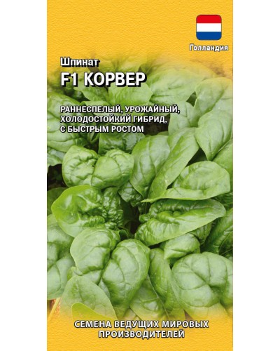 ШПИНАТ КОРВЕР (Голландия) 1г/20