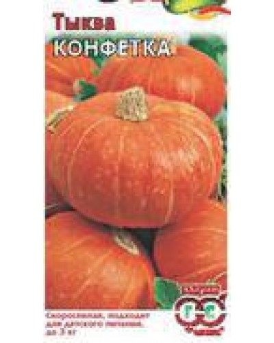 ТЫКВА КОНФЕТКА 1г/20