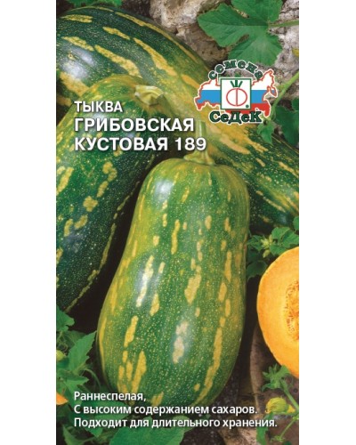 ТЫКВА (С) ГРИБОВСКАЯ КУСТОВАЯ 1г/10